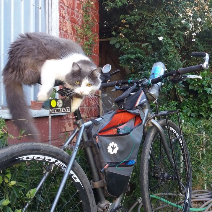 Bicicleta rígida con framebag y parrilla delantera