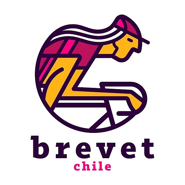 brevetchile